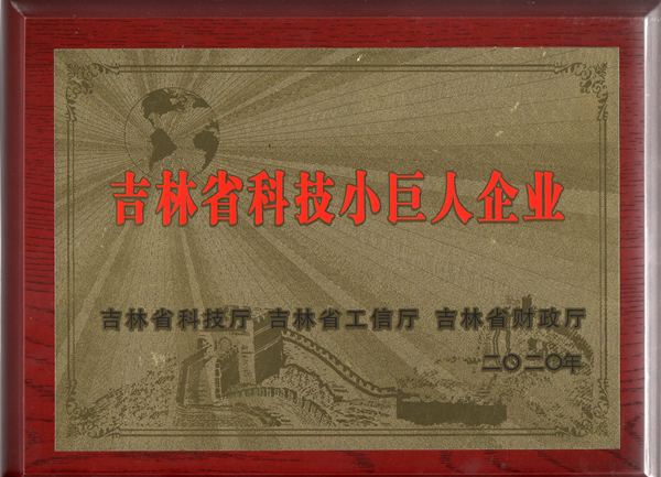 0利国娱乐国际老牌w66物业获“吉林省科技小巨人企业”称呼_副本.jpg